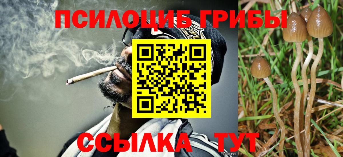 Тюмень  Псилоцибиновые грибы прущие грибы  Вход с VPN 