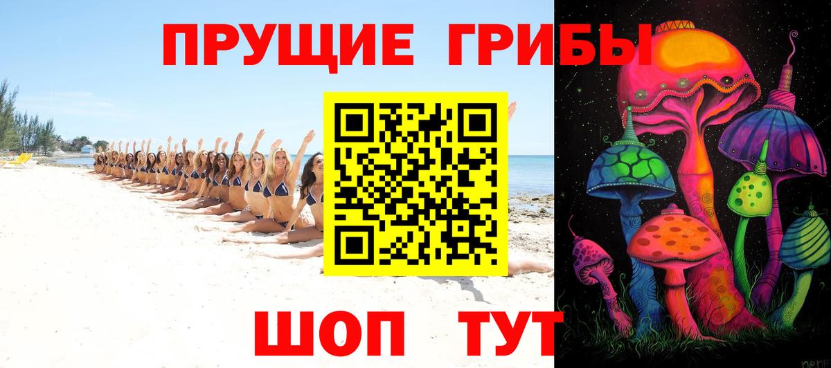 Псилоцибиновые грибы GOLDEN TEACHER Тюмень